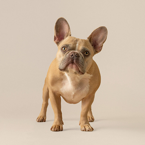 Magasins spécialisés