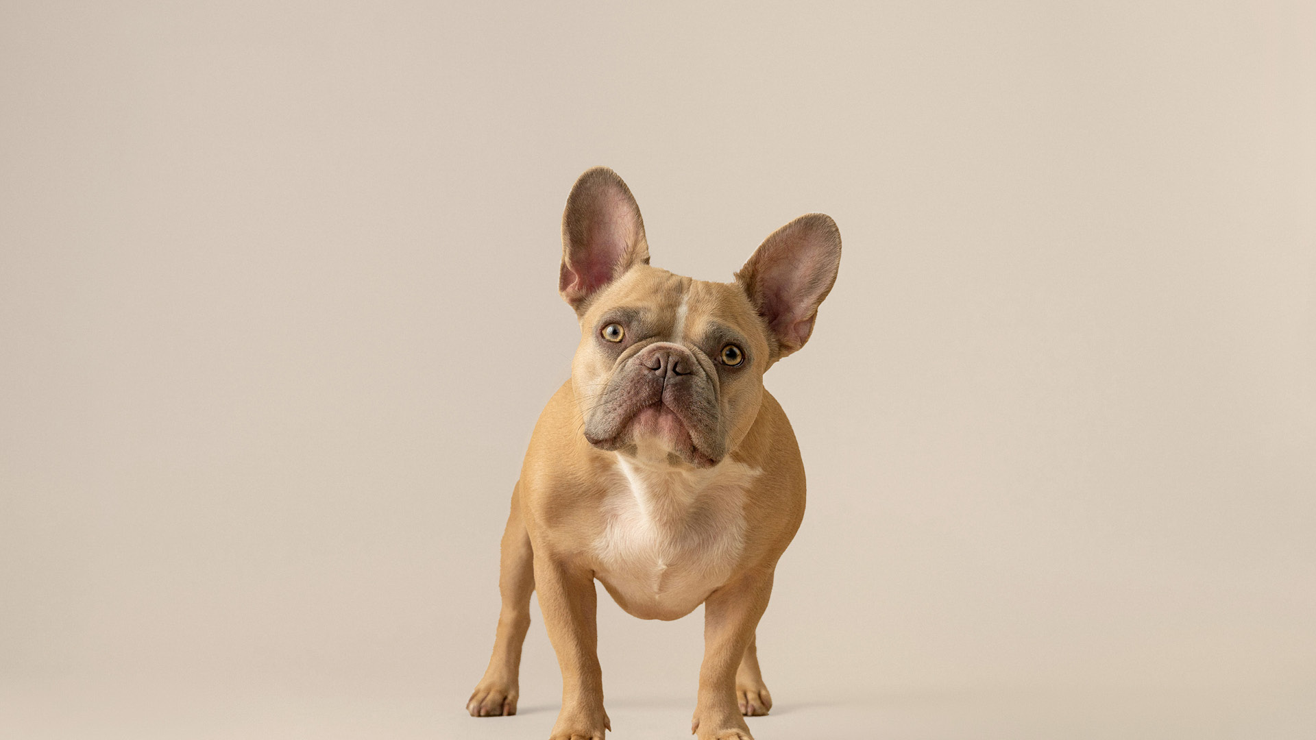 Magasins spécialisés