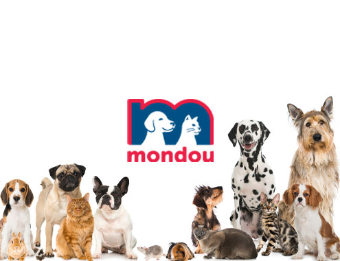 BIENVENUE MONDOU!