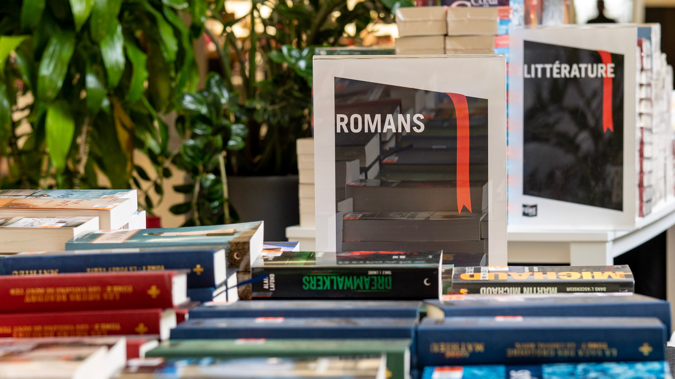 Foire-du_livre_usagés_renaud_bray_vente