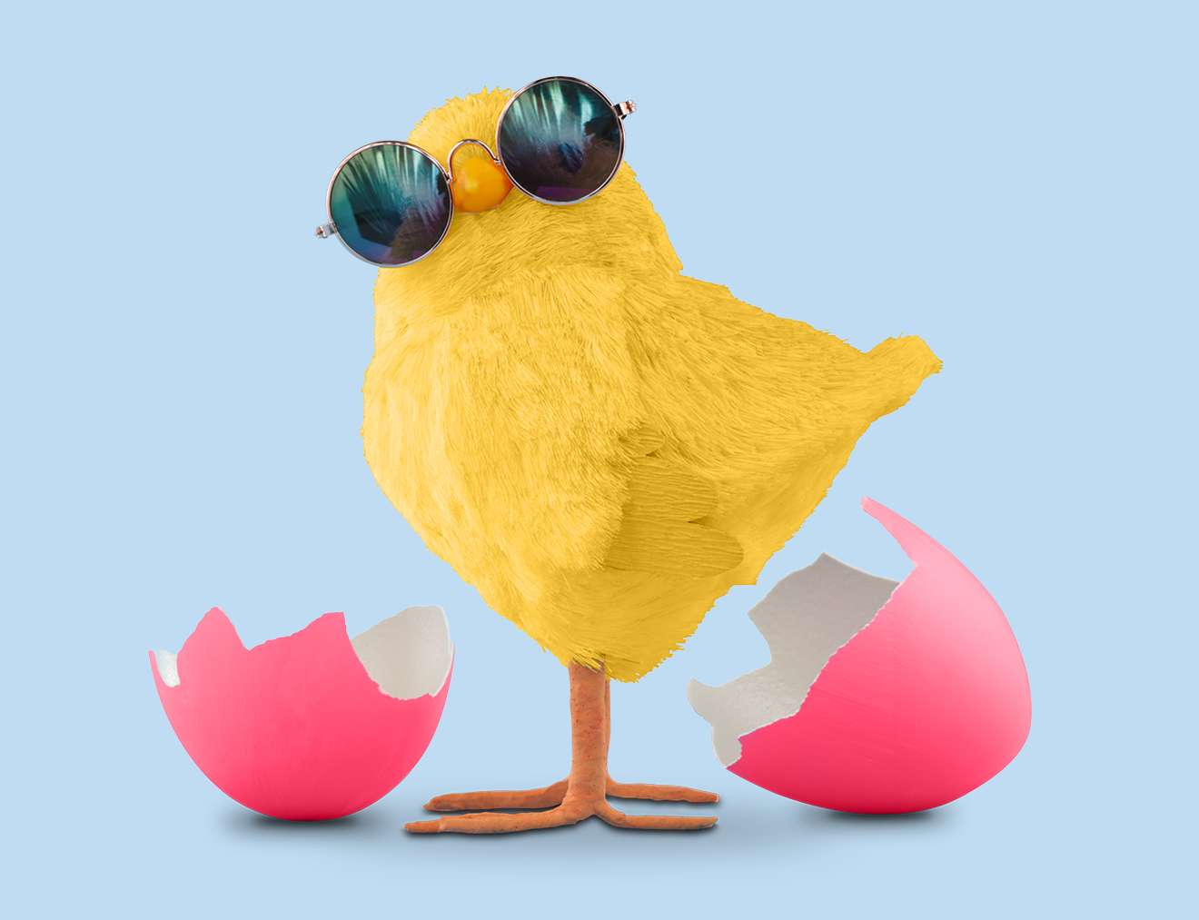 Concours - À s'en casser le coco!