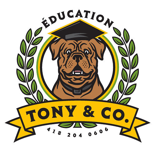 partenaire animation