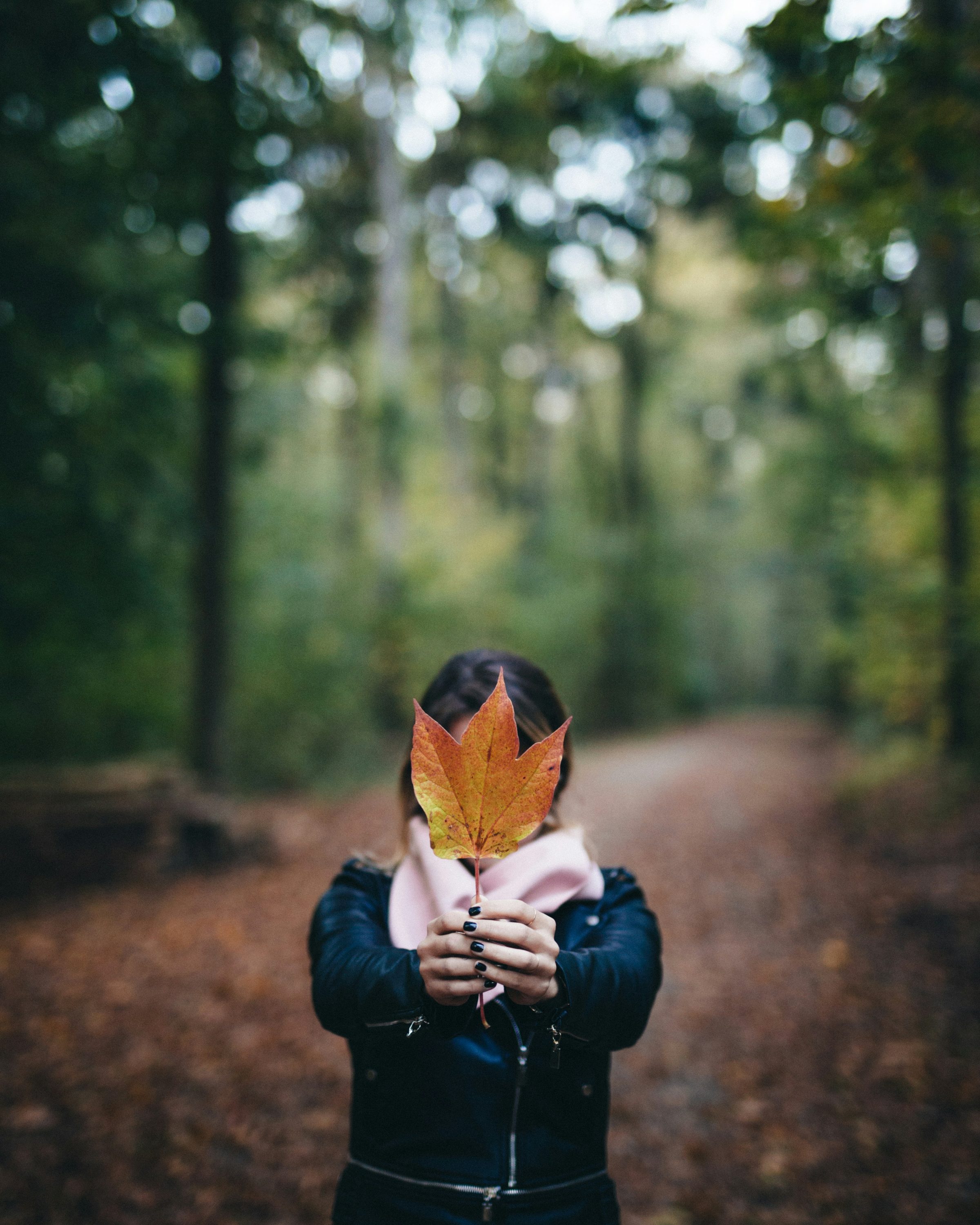 18 septembre – Les tendances de l’automne