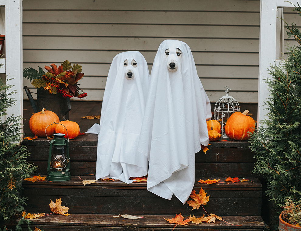 ET SI HALLOWEEN COMMENÇAIT MAINTENANT ?