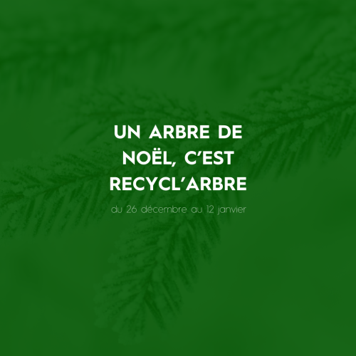 Un arbre de Noël, c'est recycl'abre !